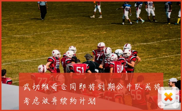 武切维奇合同即将到期公牛队或将考虑放弃续约计划