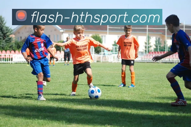 hth体育平台生态图